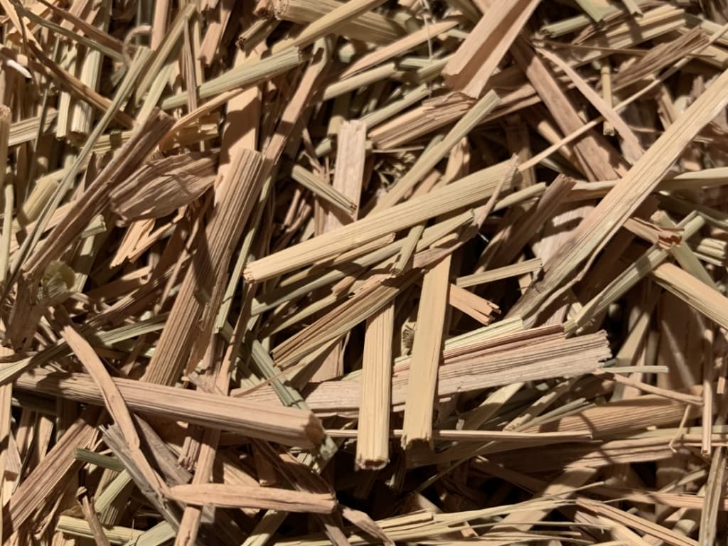 京都ぬりかべ屋三谷左官店代表　左官・三谷涼の幼少期